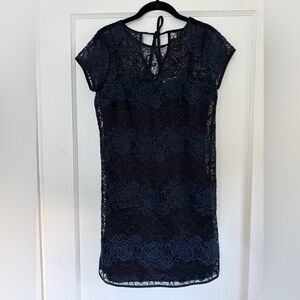 LOFT Navy and Black Lace Mini Dress